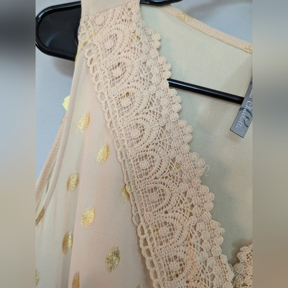 Charlie Charlie Charlotte Apricot Lace Sleeveless Empire Waist Maxi Dress - Picture 13 of 13